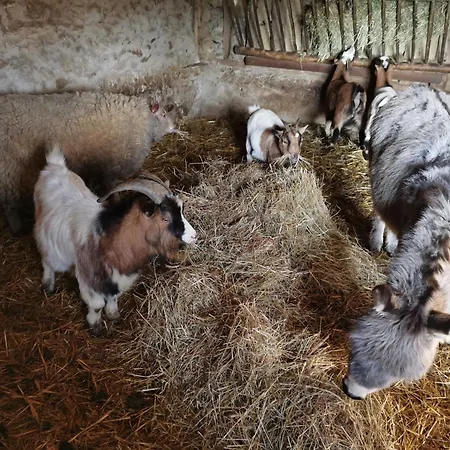 Loft Dans Longere A La Campagne Privat bolig Courcemont