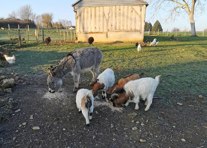Loft Dans Longere A La Campagne *