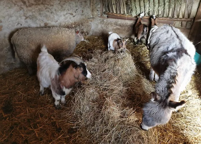 Loft Dans Longere A La Campagne Δωμάτια σε οικογενειακή κατοικία Courcemont